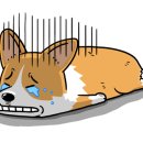 권*록 이미지