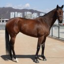 좋은친구 이미지