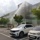 경주시농산물산지유통센터 CBN뉴스