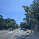 금물산하늘소캠핑장 | 금물산하늘소캠프 | 75번째 캠핑 : 숲속에서 계곡에 발 담그며 자연을 즐길 수 있는 가족 캠핑장
