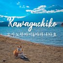 맑은샘이 있는 봄 | 시즈오카 4일차 여행 가와구치코 맛집부터 오시노 핫카이까지