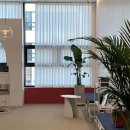 네일 여기 이미지