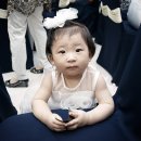 복실강아지 이미지