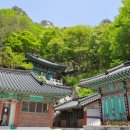 금봉암 - 1859 | 금봉암