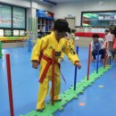 유아태권도 이미지