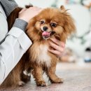 연수동물메디컬센터 이미지