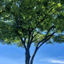 지양곡연대봉등산로 이미지