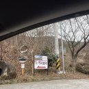 율하상상정원어린이집 | 장유맛집 율하맛집 정원이 예쁜 카사벨라에서 인생 깔조네와 파스타 즐기기