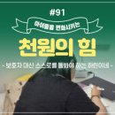 JS아이사랑태권도장 이미지