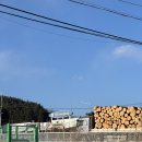 장평모텔 | 계방산/스키장(용평·휘닉스파크) 근처 숙소 찾는다면? 평창 장평모텔 실후기