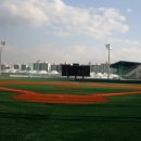 탄천야구장 이미지