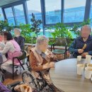 나비포차 이미지