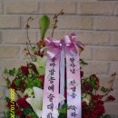 모아산부인과병원 이미지
