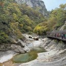 폭포약수 | [설악산 단풍 트레킹] 설악산 주전골 코스 오색 약수-용소폭포 탐방지원센터