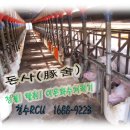 청수축산 이미지