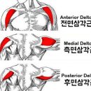 팀거너짐 네이버블로그