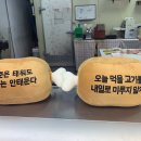 소많이먹어도돼지
