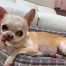 수락동물병원 이미지