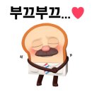 주니어7태권도 | 성인 태권도 후기/직장인 운동 추천!