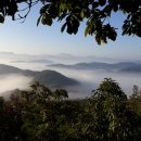 풍류농장 이미지