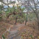 증도면사무소 이미지