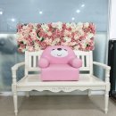 도그스타일 이미지