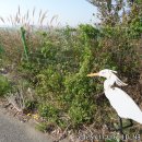 대부해솔길 2코스 이미지