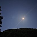 한라산둘레길 천아숲길 | 제주 반딧불이 체험 한라산둘레길 천아숲길에서