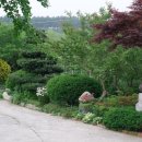 산대월리 이미지