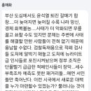 오늘 서울 대규모 집회를 본 홍매화님의 댓글. 이미지