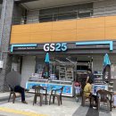 GS25강일점 | 원소주 스피릿 가격&amp;도수 GS25편의점 구매후기! ft.강일6단지(강동)