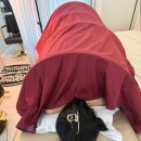 뷰티호텔 | 신림 체형 관리 뷰티호텔 생체에너지테라피 등 복부 후기