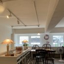 동백아가씨1961 이미지