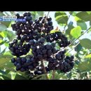 선한농부 이미지