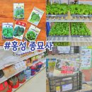 현대농자재마트 | 홍성 모종 씨앗 파는 곳 | 농자재 마트 방문 후기