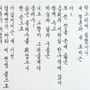 감천19 대구일보