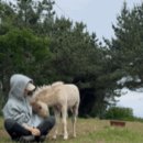 재훈목장 네이버블로그