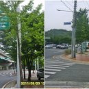 두리봉네거리 좌측 이미지