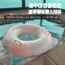 제주스테이마루온수수영장풀빌라펜션 | 제주 대정읍 펜션 블루웨일풀스테이 수영장 단체 펜션 추천