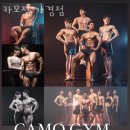 카모짐 이미지