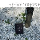 봉화별캠핑장 이미지