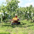 이상윤농장 이미지