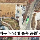 낙성대 숲속공원 이미지