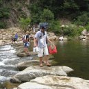 정의선농장 이미지