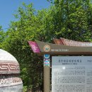 어느날성주 이미지