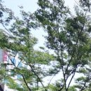 박서희정신건강의학과의원 이미지