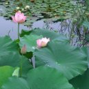 남산타운문화체육센터 이미지