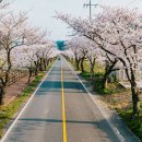 보령-주산-1 이미지