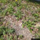 5대대계곡 이미지