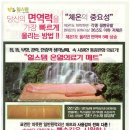 힐스템 네이버블로그